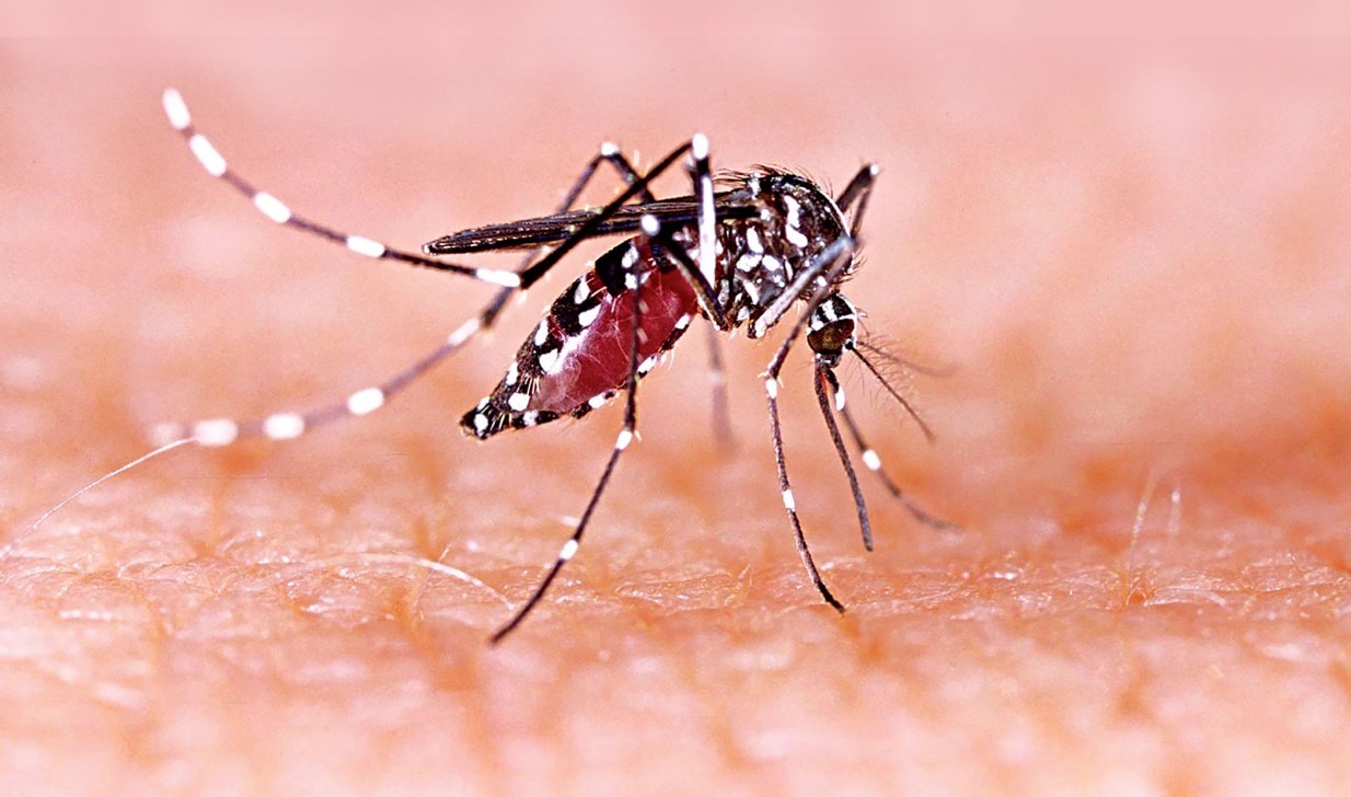 Dengue in Bangladesh: A persistent health challenge