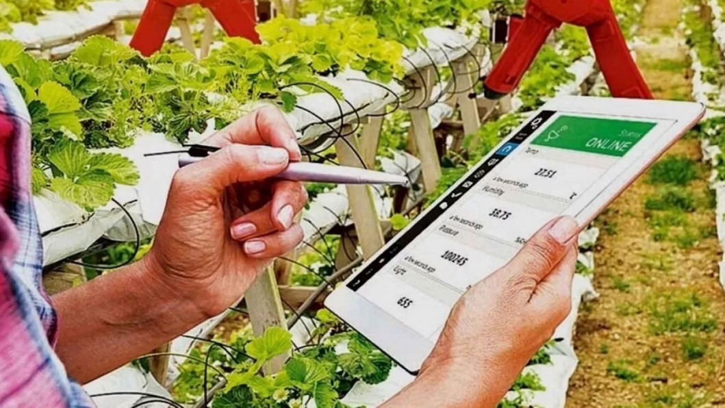 The agriculture startup: A stepping stone for Bangladesh 2.0