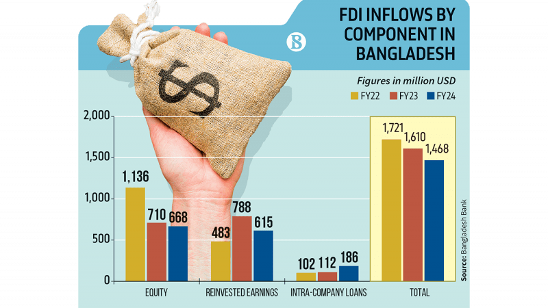 FDI drops by 8.8% in FY24 amid economic volatility