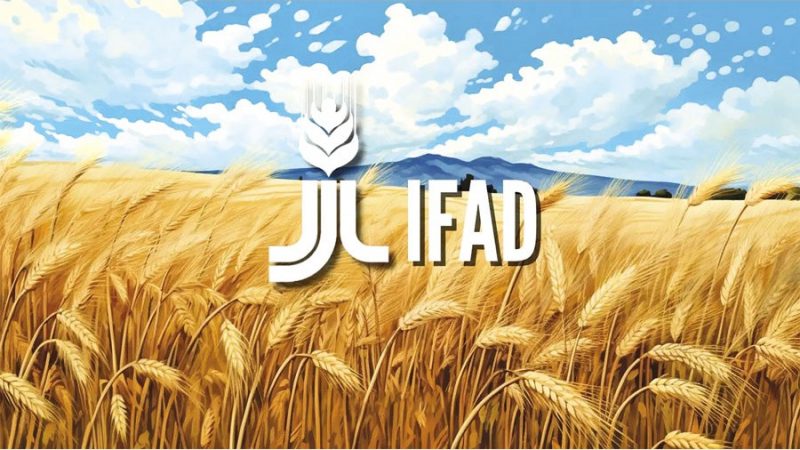 IFAD boosts climate finance amid food system transformation